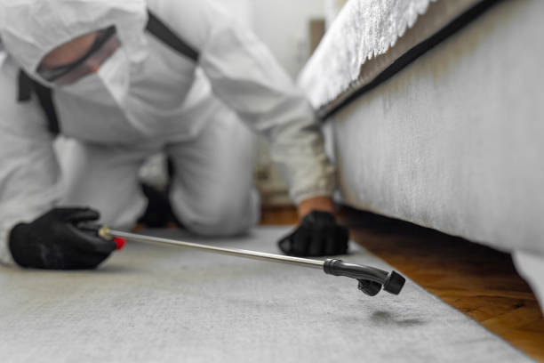 Professional Bed Bug Control technician working in Bee County County, TX